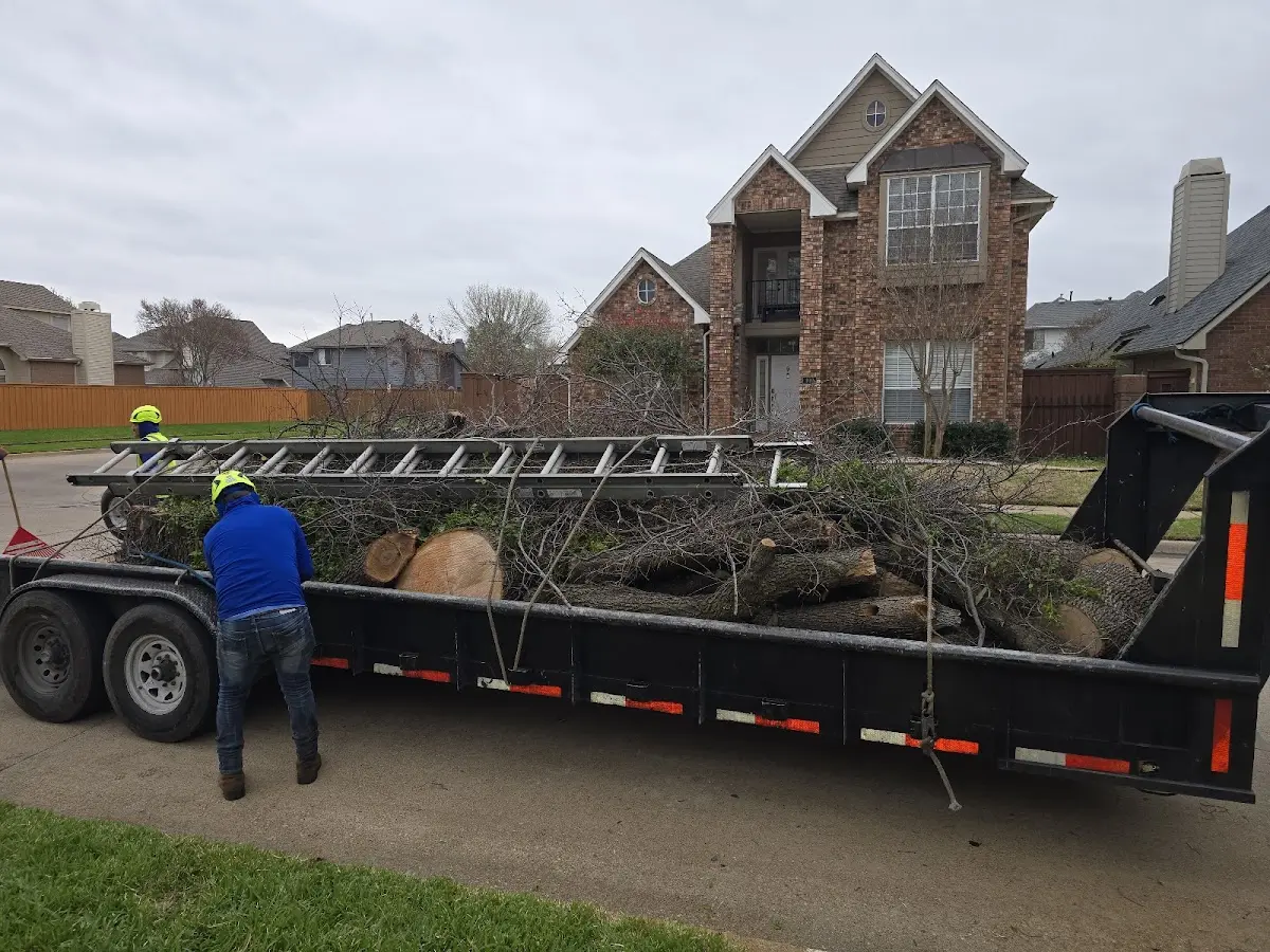 Expert Lot Clearing with proper safety equipment in Mart